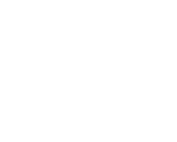 logo-arbeidsadvies-wit